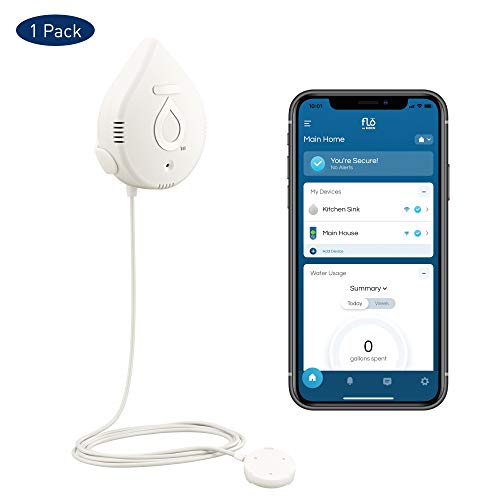 Moen Smart Water Leak Detector -- Best smart water leak detector