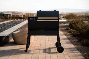 Brisk It's AI-powered NeoSear grills just the way you ask it to 