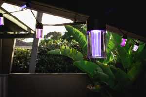 LIFX String Light review: A pricey pop of outdoor color