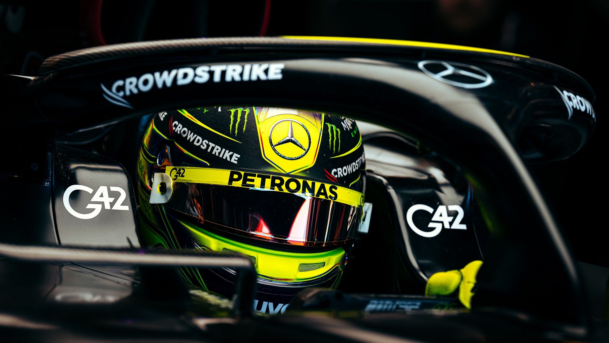 Lewis Hamilton, FIA