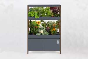 Rise Gardens’ modular indoor smart garden gets an upgrade 