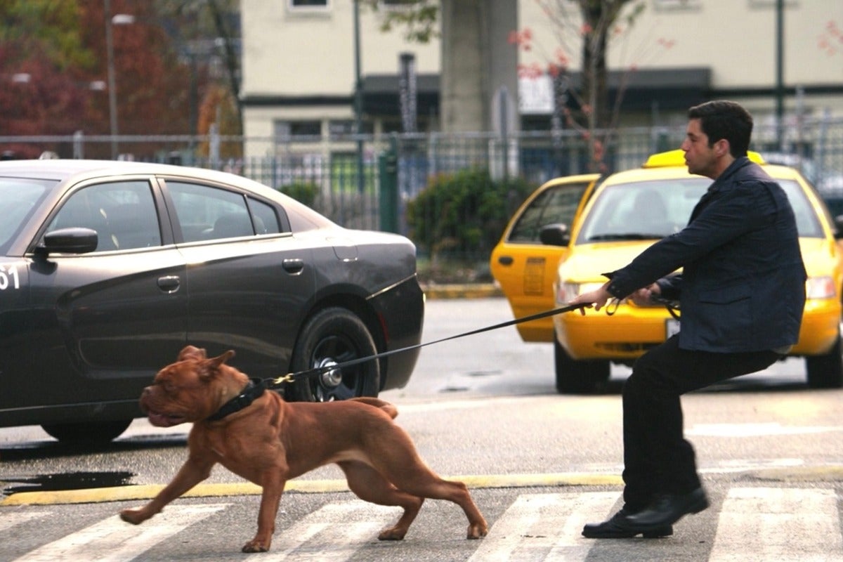 turner and hooch